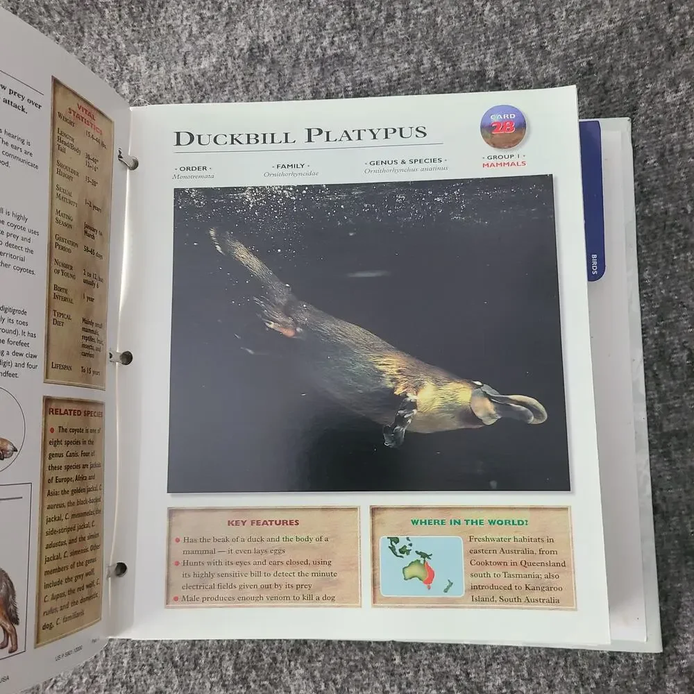 WILDLIFE EXPLORER Set 2 Binders w/Fact Cards Animal Birds Science Home School